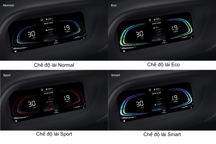 che-do-lai-stargazer